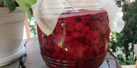 Słoik pełen malin, z którego powstanie pyszny sok z malin. W tle zieleń ogrodu.